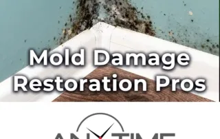 mold damage icon