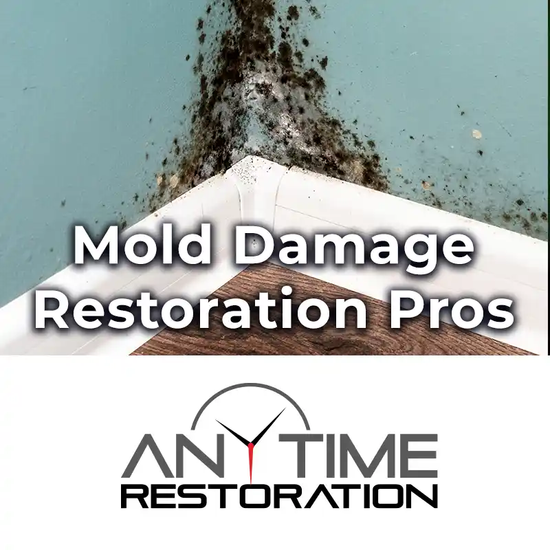 Anytime Restoration Fire Water Damage Eden Prairie photo 4 in Minneapolis