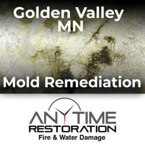 Golden Valley mold remediation Anytime Restoration