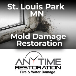 St louis park mold remediation