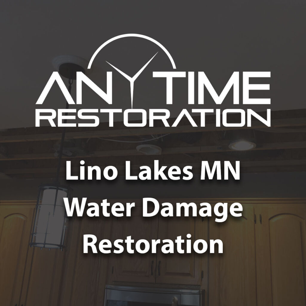 lino lakes water cleanup specialists