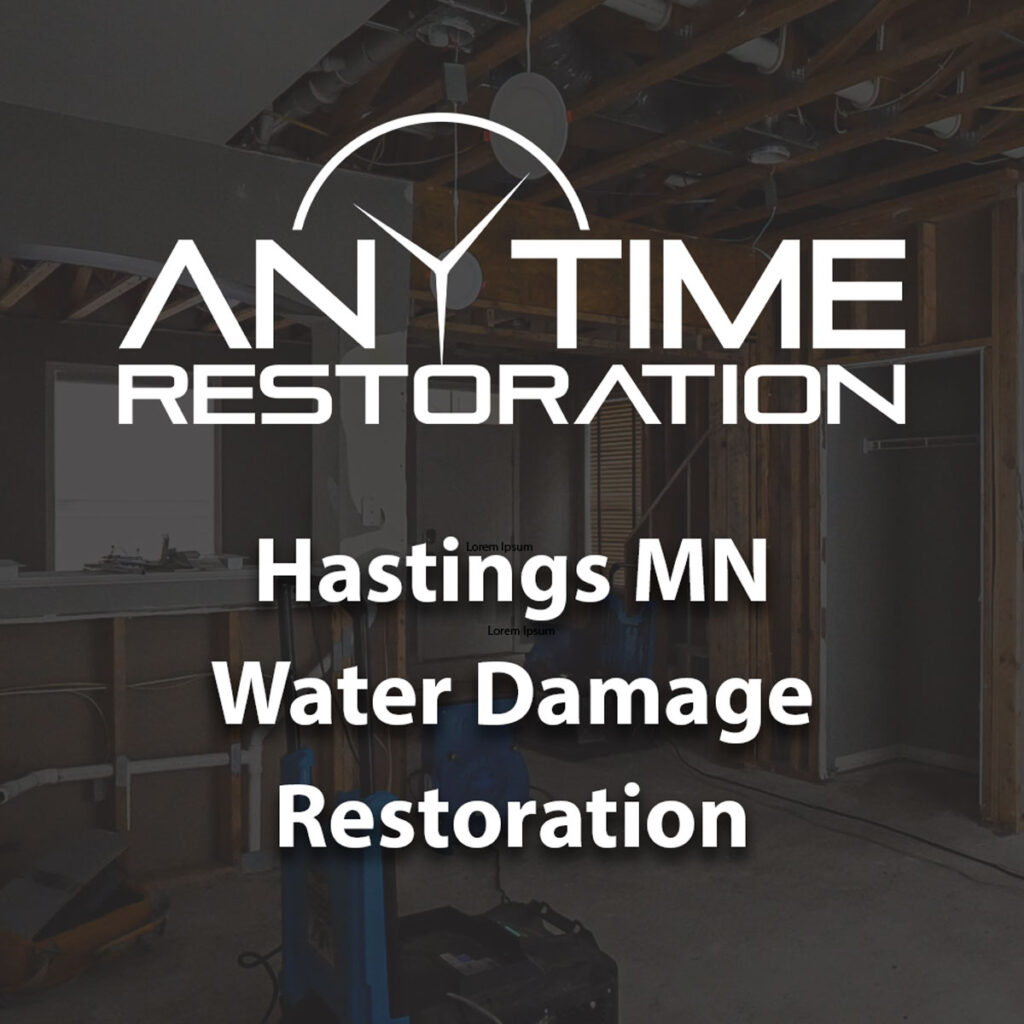 water damage repair hastings mn